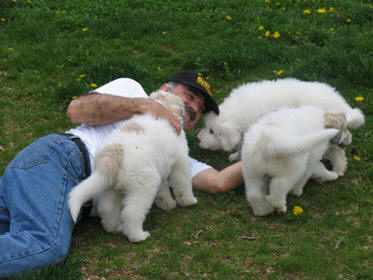 Chris with dogs